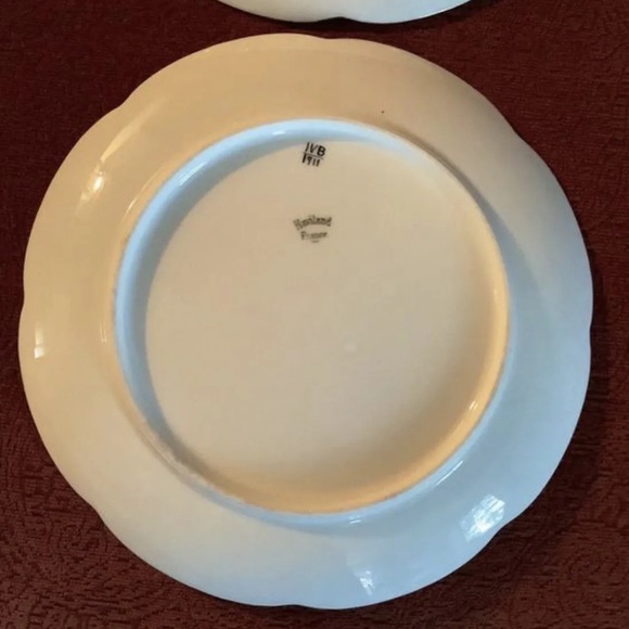 Antique Haviland Limoges Botanical Dessert Plates, Hand Painted Set of Six (6) - Picture 6 of 8